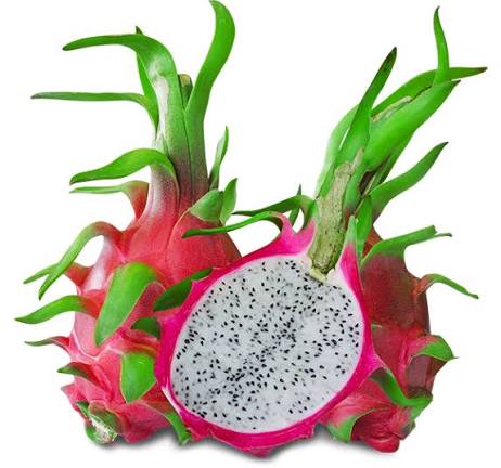 GIỚI THIỆU VỀ ĐỨC CHÍ ANT