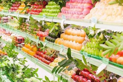 Nông Sản Xanh, Thực Phẩm Sạch: Xu Hướng Tiêu Dùng Của Tương Lai
