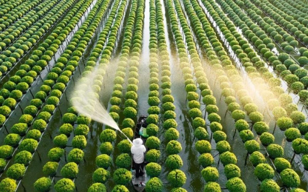 Phát Triển Nông Nghiệp Xanh Ở Việt Nam: Thực Trạng và Giải Pháp