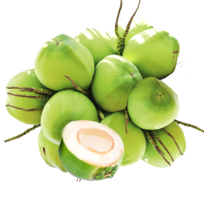 Dừa tươi