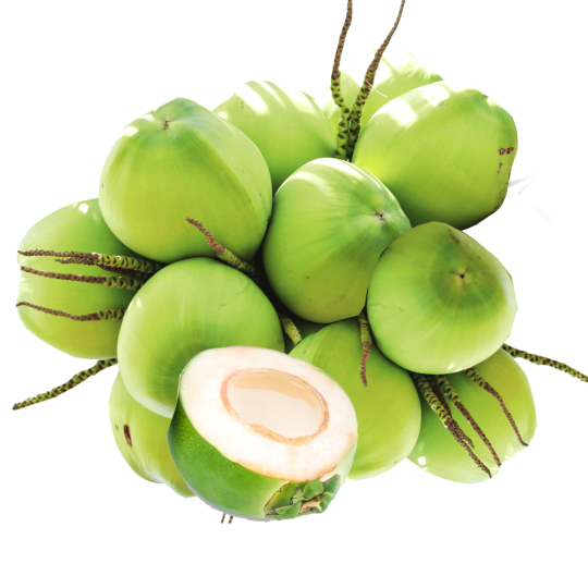Giới thiệu về